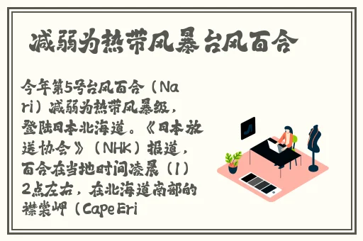 黄金网站app观看大全